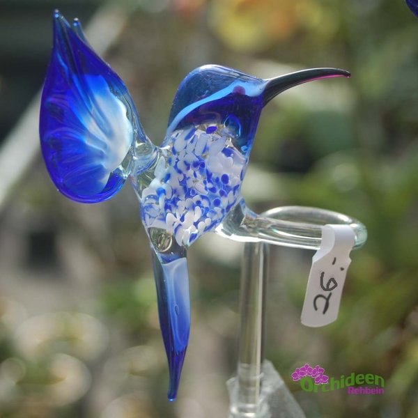 Orchideenstab - Motiv Kolibri, höhenverstellbar, in verschiedenen Farben