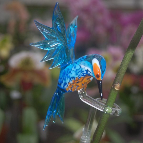 Orchideenstab - Motiv Eisvogel, höhenverstellbar