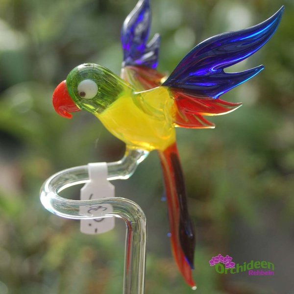 Orchideenstab aus Glas - Motiv: Papagei fliegend, höhenverstellbar
