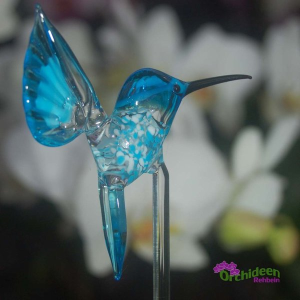 Blumen-Dekostab Kolibri aus Glas in verschiedenen Farben