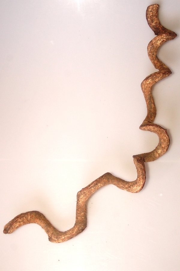 Drachenliane, krumm,  ca. 50-60cm
