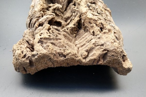 Kork-Stück, naturbelassen, Länge ca. 55cm / Breite ca. 7-18cm
